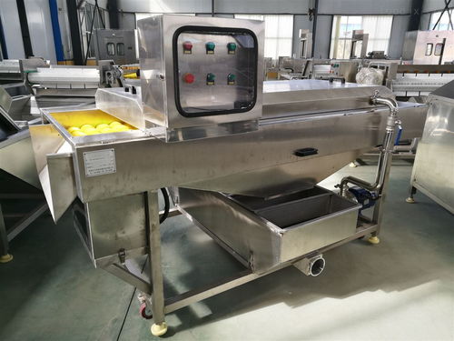 wly001萬利源紅棗清洗烘干姑娘果清洗去皮機 食品機械設備網